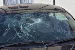 挡风玻璃被砸因说了一个字 保险公司拒赔