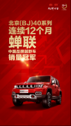 PLUS新车入列 北京(BJ)40系列连续12个月蝉联中国品牌越野车销量