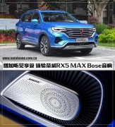  RX5 MAX Bose