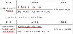 净利大涨 宁德时代2019上半年业绩预告
